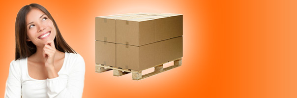 Transport XXL Best Price