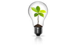 Pakete CO2-neutral versenden Pakete CO2-neutral versenden